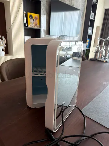 Cosmetics refrigerator