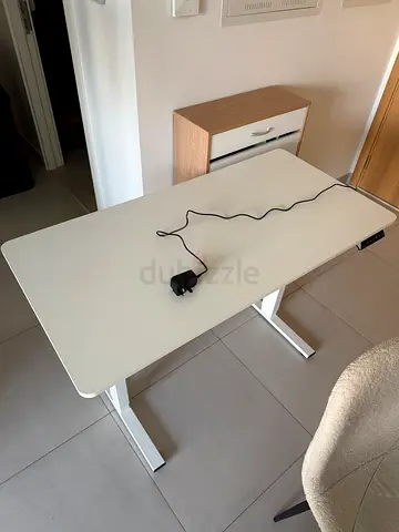 FlexiSpot Electric Standing Desk – White – Like New