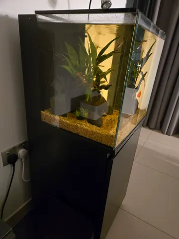 Premium aquarium for sale