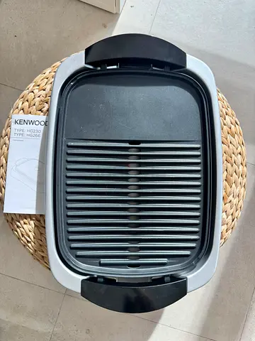 Electric home grill