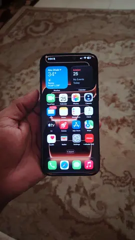 iPhone 17 pro max