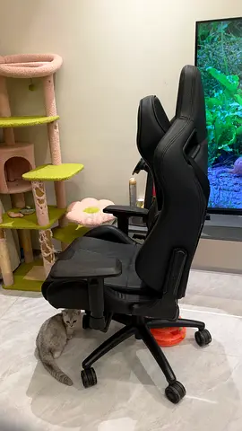 Gaming chair