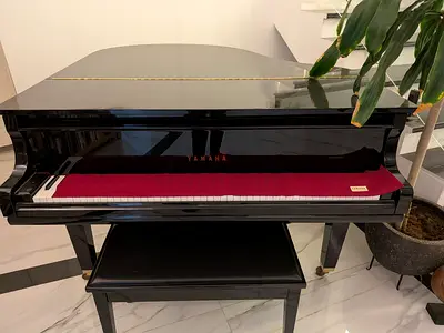 Beautiful Yamaha Baby Grand Piano CG1