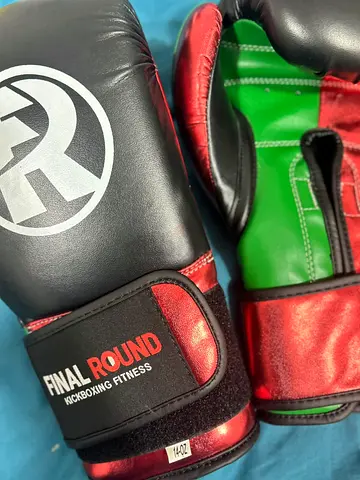 Final Round 14oz Boxing Gloves - Good Used Condition
