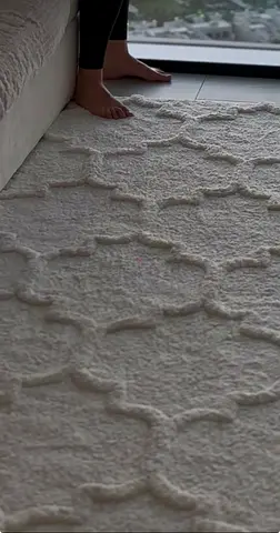Design Carpet (Home Centre)