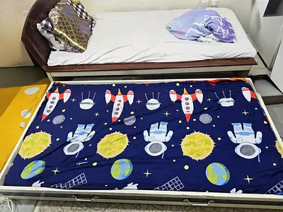 Single bed with pull-out trundle
