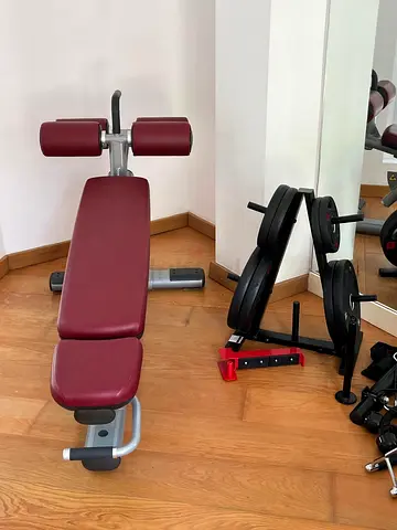 Technogym Adjustable Gym Bench