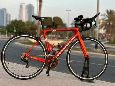 Pardus robin carbon Roadbike