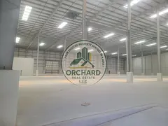 Brand New 81,000 Sq. Ft. Warehouse for Rent in Umm Al Thuoob | 13.5M Height | Near E311
