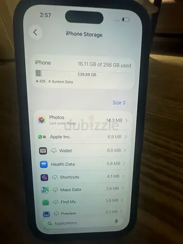 iPhone 16 256GB (Good Working Condition)