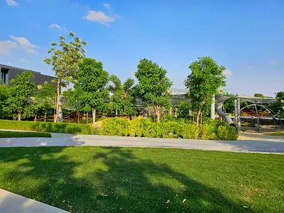 5% DP | Forest living | Golden Visa