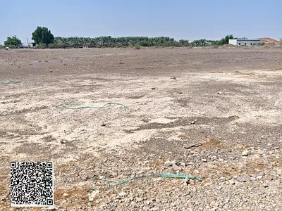ارض سكنية تملك حر لجميع الجنسيات في المنامة8 في عجمان