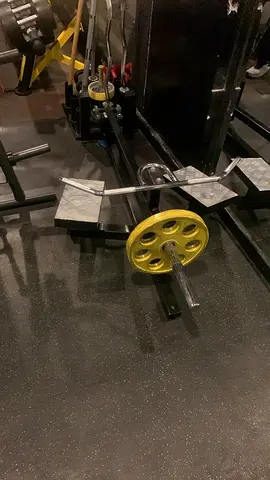 Plate-loaded gym T Bar