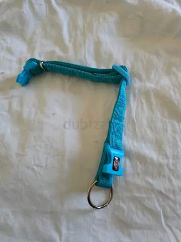 Light blue nylon cat or dog collar (adjustable, free size)
