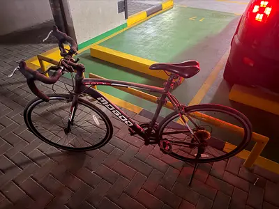 Road bike - Mogoo Bolt 700C 14 speed