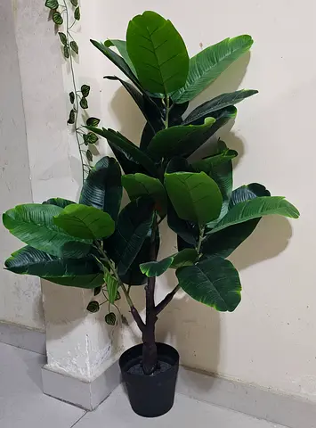 Artificial Ficus Tree in Pot — Good Condition, Ready to Place