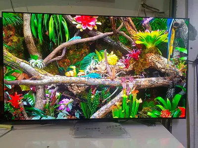 Samsung OLED S90F 2025 model