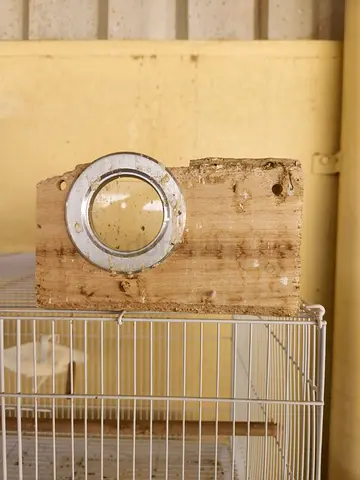 Birds Nest Box and Other Accessories