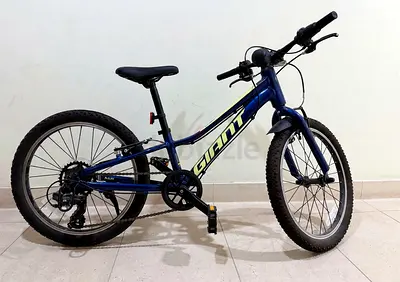 Giant Talon 20 Kids Bike – Blue, Great Condition