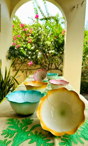 Brand new x6 ceramic dessert bowls