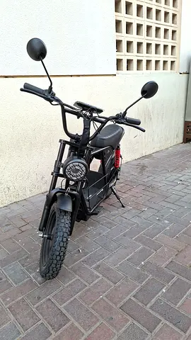 WINDHORSE D1 Electric Bike