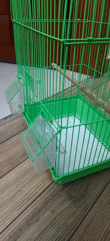 Green metal bird cage with perches and food cups