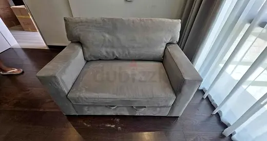 Crate&Barrel Axis Sofa bed