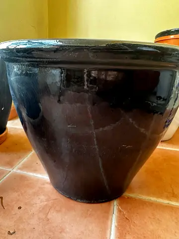 Pot