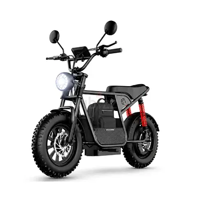 Wind Horse Electric Bike Speed, D1 | Brand New | Warranty | FREE Delivery