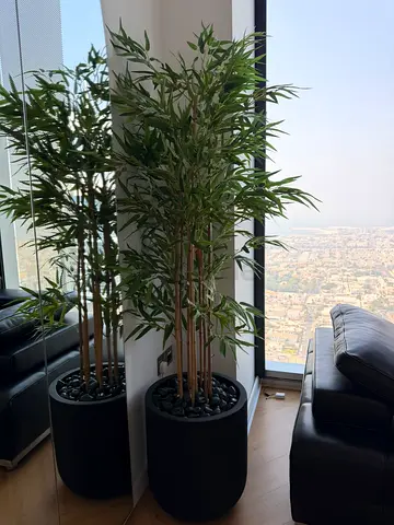 Tall artificial bamboo plant in modern black pot