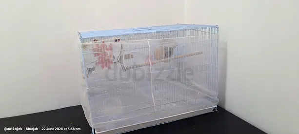 Large cage for Birds