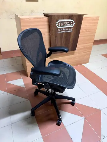 Herman miller Ergonomic Mesh Office Chair with Adjustable Armrests and Lumbar Support