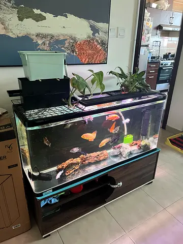 120CM tank