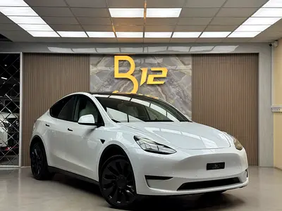 Tesla Model Y Long Range 2021 Chinese Specse