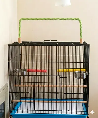 Parrot Cage