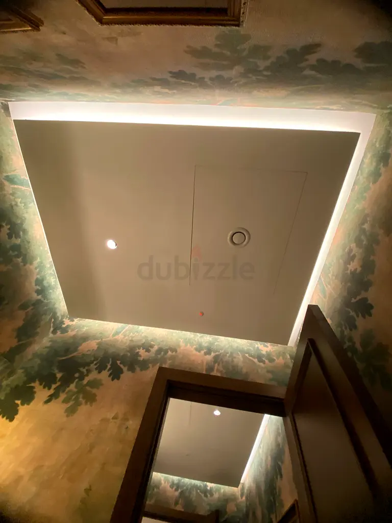 DPV_View_Image_3