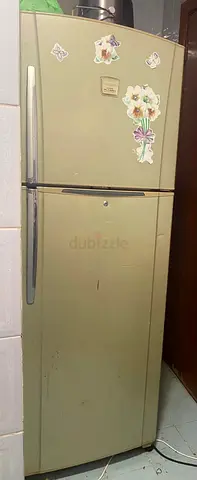 Toshiba Plasma 350Ltr 2 Door Fridge
