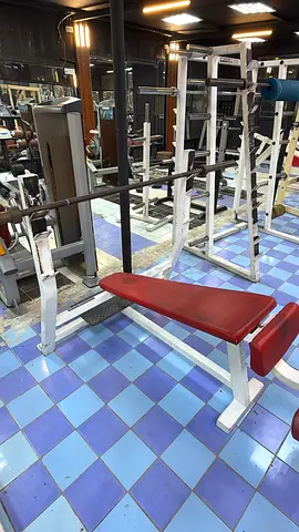 Adjustable Bench Press / Flat Bench with Barbell Rack — Used Gym Equipment