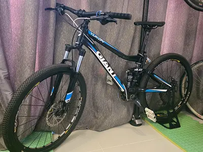 Giant bike