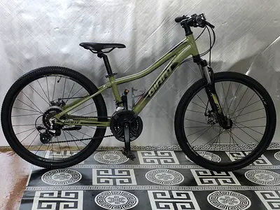 Ginat xtc 24 inch mtb