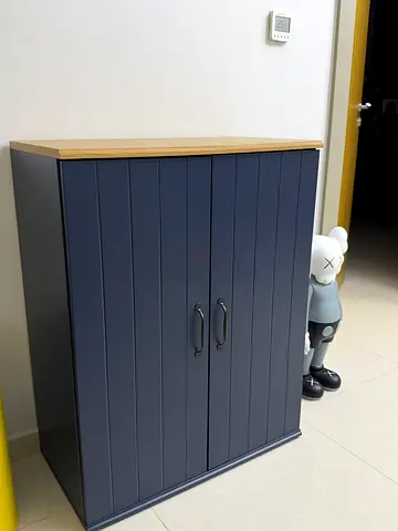 Shoe cabinet