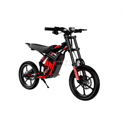 Windhorse P6 kids Electric Dirt Bike Age 6-10 Years - 250W 36V 10Ah