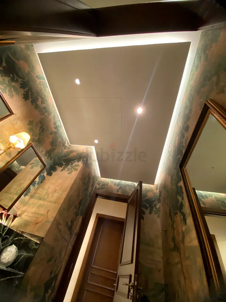 DPV_View_Image_7