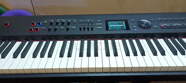 Piano RD-800  ( Roland Brand ) Used Good Condition