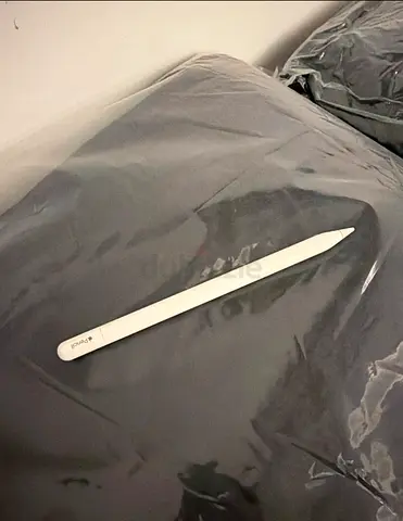 Apple Pencil USB-C (2024)