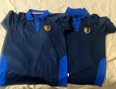 P.e shirt falcon cambridge school