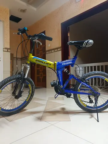 Branded Phillips mountain cycle with dual suspension gears and extendable handle