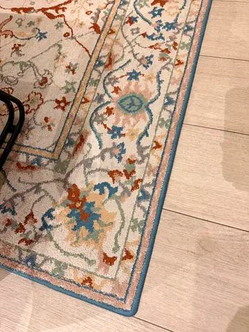 SPECIAL PRICE RUG