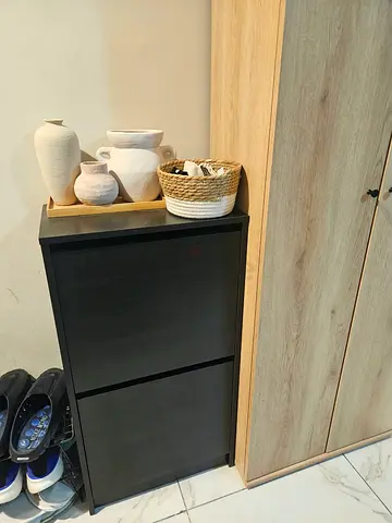 IKEA black shoe cabinet - compact 2-door storage unit