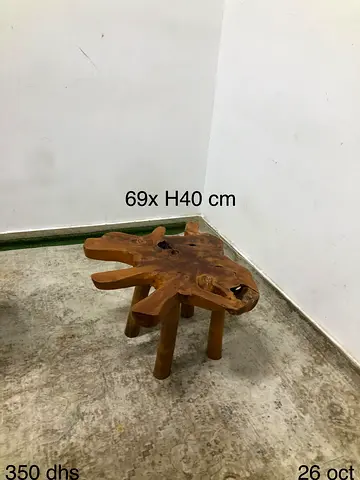Live Edge Tree Root Coffee Table (69xH40 cm)